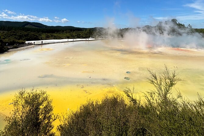 Rotorua: WaiOtapu & Redwood forest & Blues springs from Auckland - Morning pickup and the Auckland to Rotorua drive (6:00 am start)