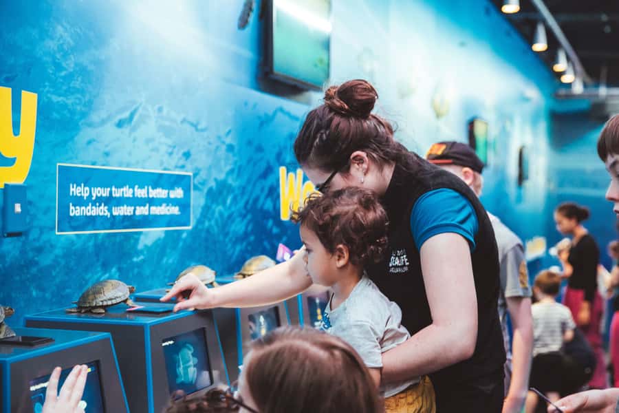 Sea Life Kelly Tarlton's Aquarium General Admission - Who should book Sea Life Kelly Tarlton’s, and who might not love it