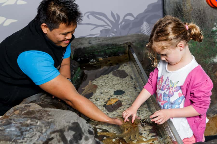Sea Life Kelly Tarlton's Aquarium General Admission - Practical rules that shape the visit (and what to bring)