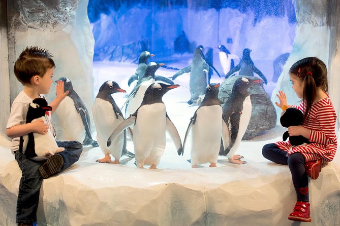 SEA LIFE Kelly Tarlton's General Admission - Key Highlights That Make This Worth Your Time