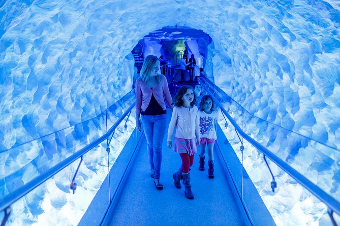 SEA LIFE Kelly Tarlton's General Admission - What the Antarctic Storyline Means for Your Day