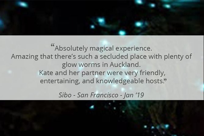 See Auckland's Secret Glow Worms - What You Learn From Guides Like Kate and Liz