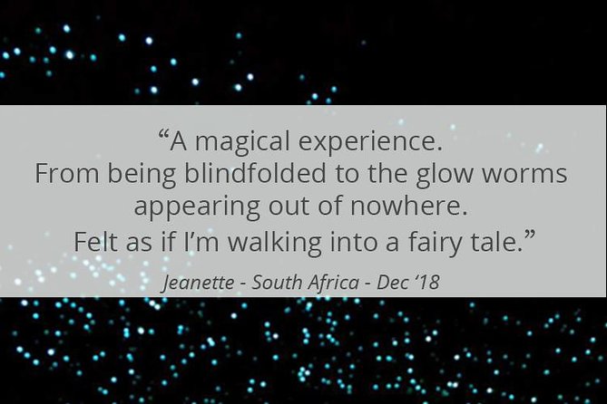 See Auckland's Secret Glow Worms - What to Bring and How to Prepare for a Night in the Bush