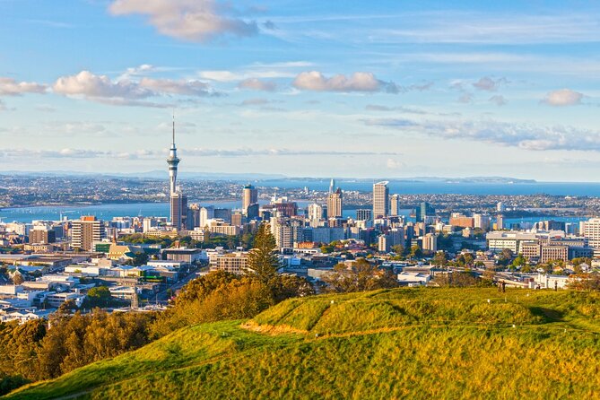 Sheep Shearing and Auckland City Highlights Tour with Lunch - Should you book Sheep Shearing and Auckland City Highlights with Lunch?
