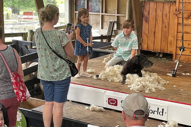 Sheep World Country Tour from Auckland - Sheepworld Farm Park: shearing, sheep-dog demos, and animal time