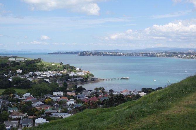 Shore Excursion: Auckland Scenic Full Day Tour - 8 Hours - West Auckland wine at Soljans Estate Winery