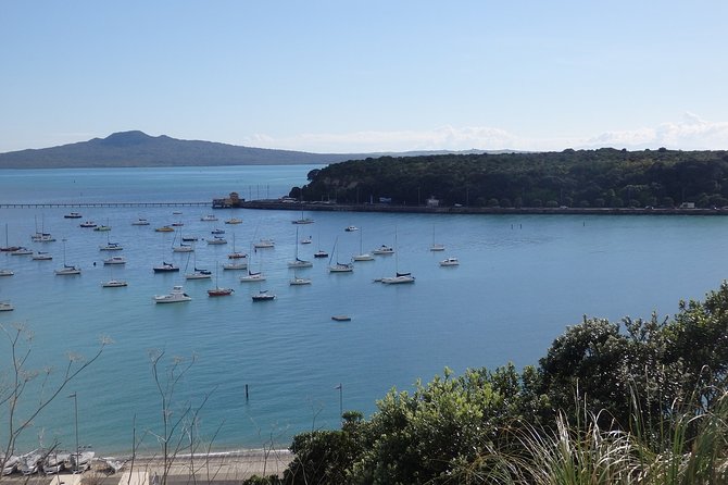 Shore Excursion: Auckland Scenic Full Day Tour - 8 Hours - Muriwai gannets and North Head tunnels