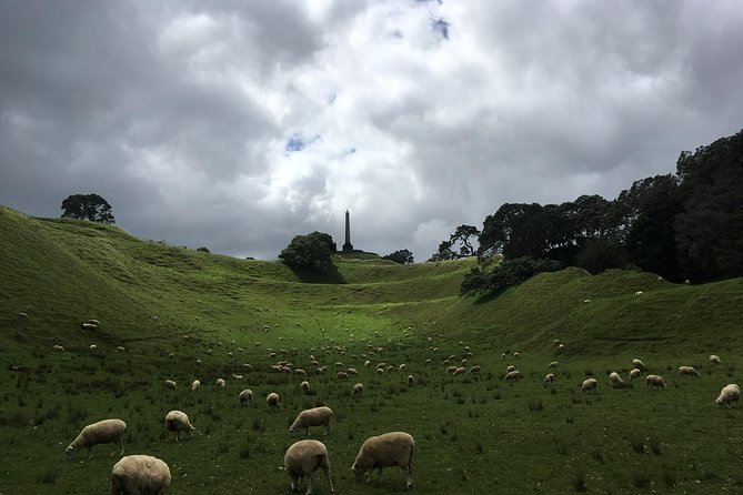 Shore Excursion: Half-Day Auckland Volcanoes Tour - Pickup, Timing, and the Small-Group Pace From 148 Quay Street
