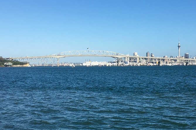 Shore Excursion: Half Day Small Group Auckland Scenic Tour - 4 HOURS - Tamaki Drive and Paritai Drive: ocean-side streets with a story