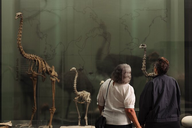 Skip the Line: Auckland Museum General Admission Ticket - Price and value: when this ticket feels like a win