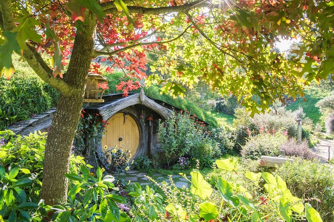 Small-Group Hobbiton and Waitomo Day Tour with Lunch from Auckland - Hobbiton Movie Set Tour: Seeing the Shire Up Close