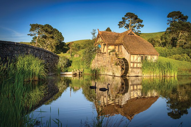 Small-Group Hobbiton Tour from Auckland with Party Marquee Lunch - Small-Group Format, Mercedes Sprinters, and the Pace You Get