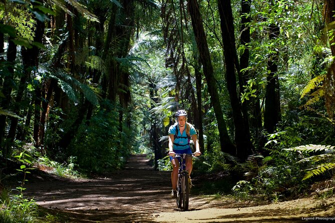 Small Group Northern Voyager 7 Days Tour - Entering New Zealand’s North Island by staying centered in the loop