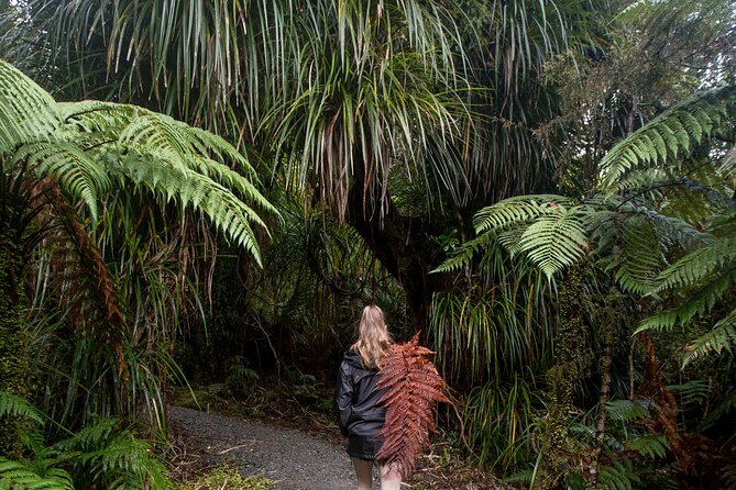 Small Group Northern Voyager 7 Days Tour - Rotorua in real life: guide energy and pacing