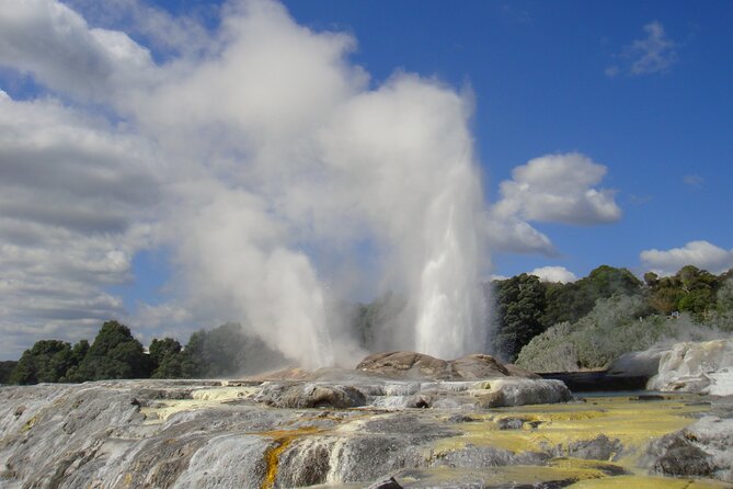 Small Group Waitomo and Rotorua including Te Puia Tour - Key highlights to look for on the day