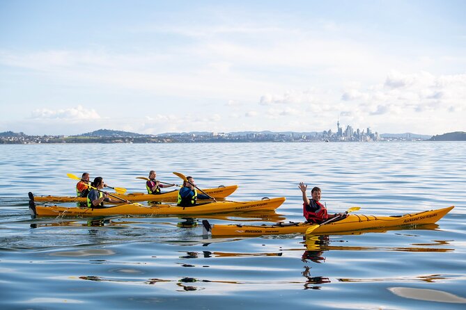 Sunset kayak tour to Rangitoto Island - The night paddle back: stars, city lights, and a little bit of fear you can manage