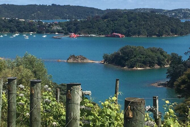 The Boutique Experience: Waiheke Best Cellar Tour (11 guests max) - A Waiheke wine day with a small-group vibe