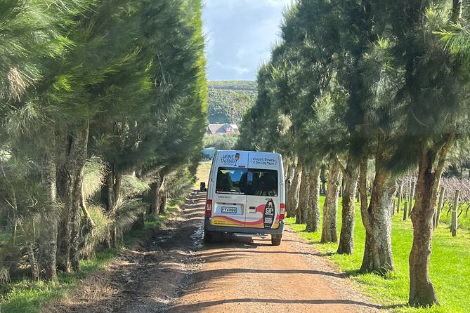 The Boutique Experience: Waiheke Best Cellar Tour (11 guests max) - The driving portion: viewpoints, olives, and time for photos