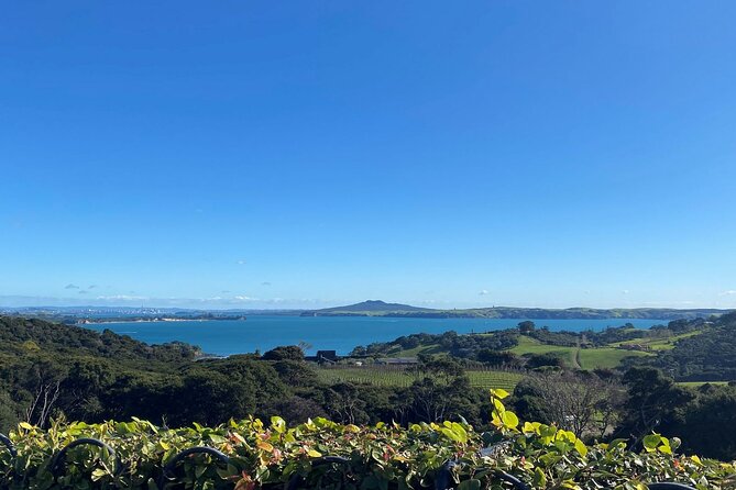 The Essence of Waiheke Wine Tour - Te Motu Vineyard: A Bonus Stop Worth Using for Questions
