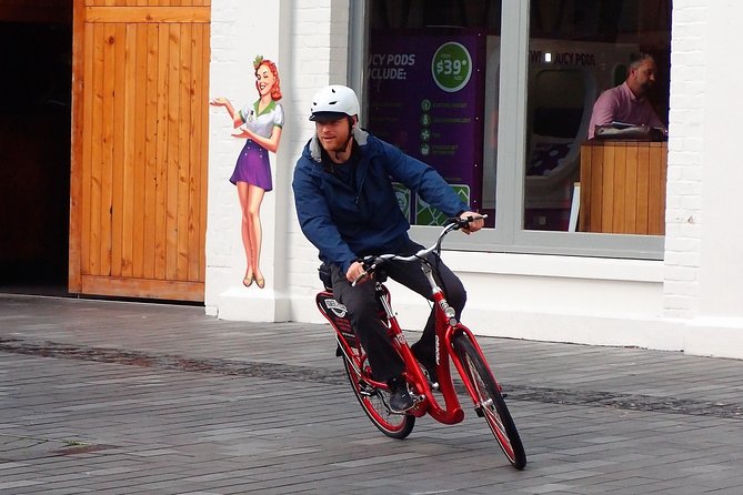 The Inside Loop: an electric bike tour of Auckland's Coolest Neighborhoods - Grafton Gully Cycleway: the easiest way to see Auckland from street level