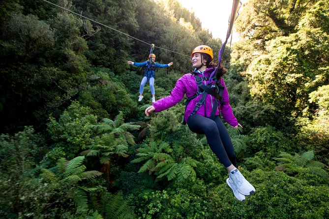 The Ultimate Canopy Zipline Experience Private Tour From Auckland - Key things I’d circle on your itinerary