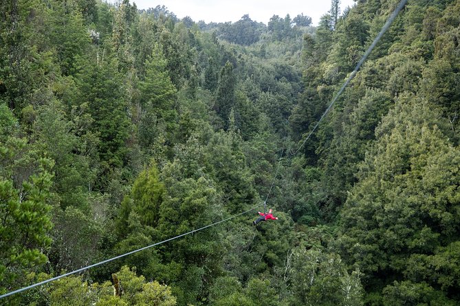 The Ultimate Canopy Zipline Experience Private Tour From Auckland - Early 6:30 am pickup: the price of doing it right