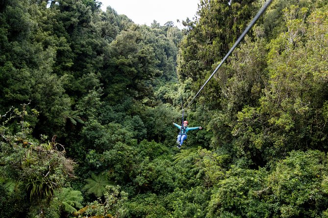 The Ultimate Canopy Zipline Experience Private Tour From Auckland - Price and value: $775.10 per person, and what you’re really buying