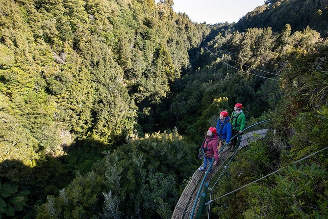 The Ultimate Canopy Zipline Experience Private Tour From Auckland - The small-group feel, with guides who actually help