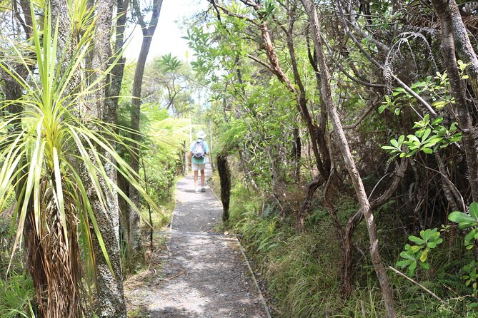 Tiritiri Matangi Island Discovery - from Auckland - Key highlights at a glance
