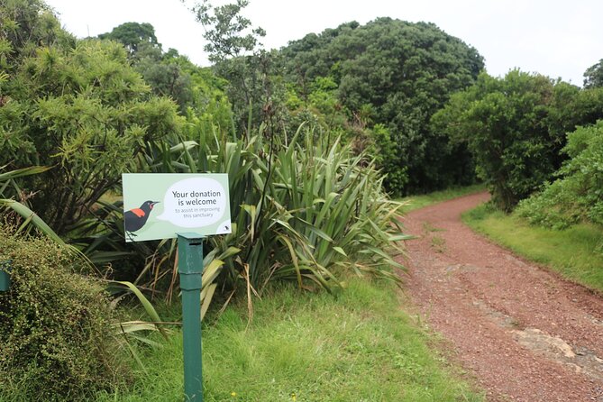 Tiritiri Matangi Island Discovery - from Auckland - Your best bird-spotting moves: slow down and use sound