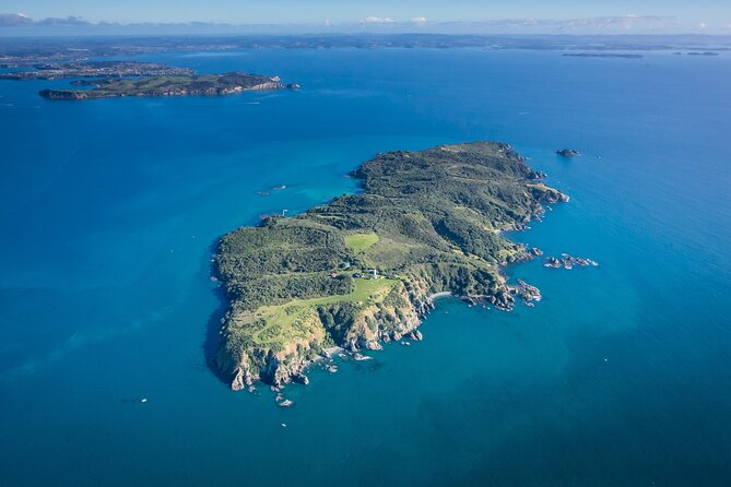 Tiritiri Matangi Island Discovery - from Auckland - Tiritiri Matangi Island: a bird sanctuary you can actually walk through