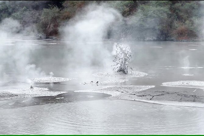 TRIPLE DEAL Wai-O-Tapu, Redwood Forest & Blue Springs Ex Auckland - Lady Knox Geyser at 10:15: timed chaos that feels very real