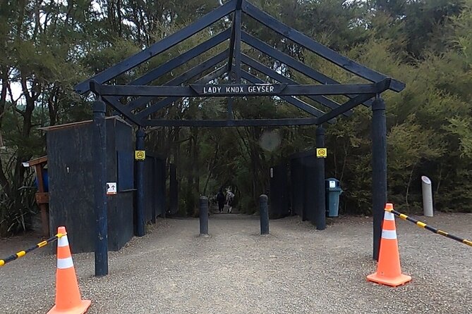 TRIPLE DEAL Wai-O-Tapu, Redwood Forest & Blue Springs Ex Auckland - The walk beneath the redwoods: Whakarewarewa Forest in Rotorua