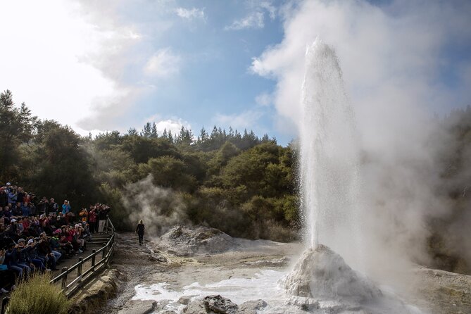 TRIPLE DEAL Wai-O-Tapu, Redwood Forest & Blue Springs Ex Auckland - Blue Spring in Putāruru: crystal-clear water and a calmer pace