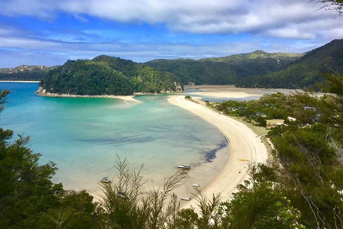 Twilight Wild Kiwi Bird Encounter Private Tour - Pickup, timing, and what to expect on the ground
