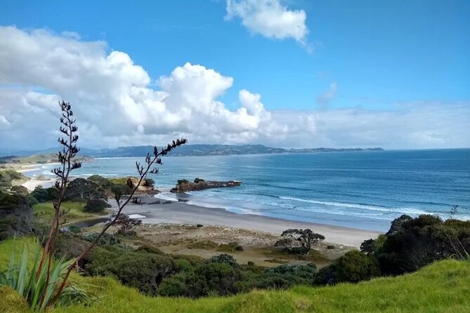 Twilight Wild Kiwi Bird Encounter Private Tour - Price and value: is $589.54 per person worth it?
