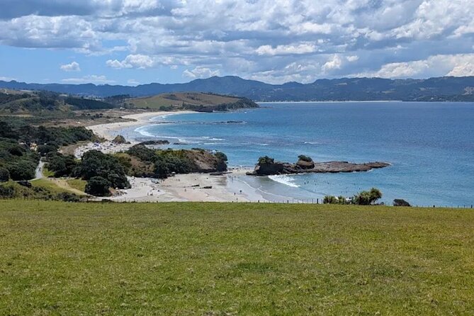 Twilight Wild Kiwi Bird Encounter Private Tour - Weather matters more than you think
