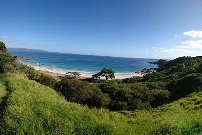 Twilight Wild Kiwi Bird Encounter Private Tour - Who should book this twilight kiwi encounter