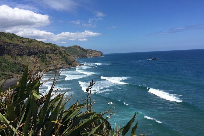 Vineyards Honey and Black Sand Beaches from Auckland - Kumeu River Wines: Brajkovich barriques and behind-the-scenes tasting