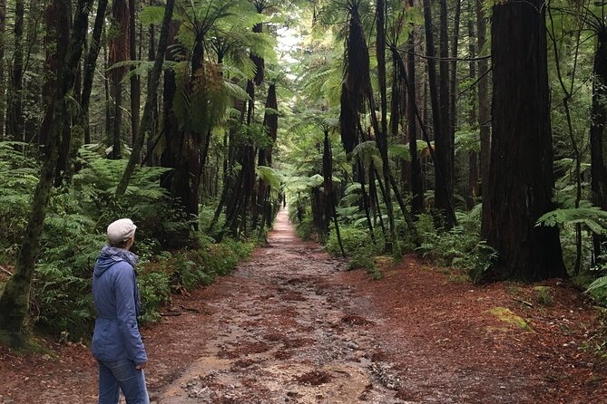 Volcanic Rotorua Day Trip from Auckland - Group size and guide style: why “small” matters here