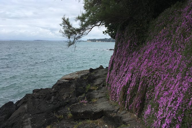 Volcanoes, Coasts, and Secret Spots Afternoon Tour in Auckland - North Head Historic Reserve: underground tunnels and fort history