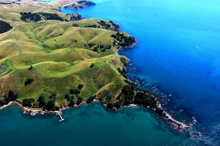 Waiheke Island: 30-Minute Scenic Flight - Getting To Waiheke Wings, and What Happens Before Takeoff