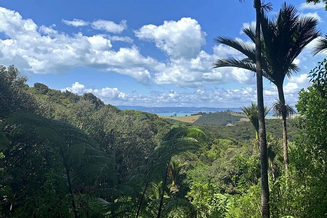 Waiheke Island Bush & Beach Walk - Lunch included: refuel without hijacking your day