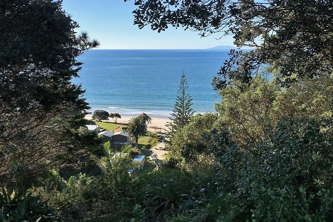 Waiheke Island Bush & Beach Walk - Meeting point at Fullers360 Matiatia, and pickup from Oneroa or the ferry