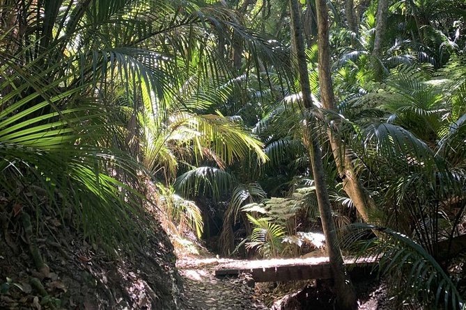 Waiheke Island Bush & Beach Walk - Price and value: is $260.64 per person worth it?
