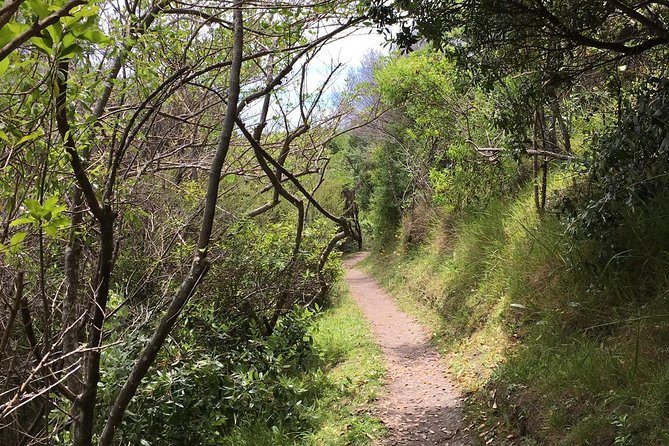 Waiheke Island Double Headland Coastal Walk - Waiheke’s Double Headlands: What the Hike Really Feels Like