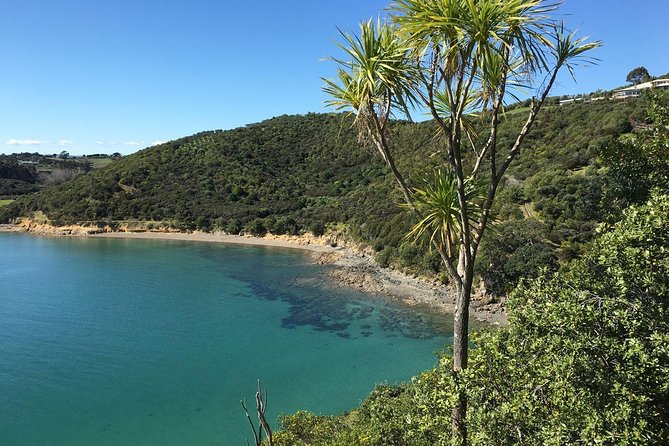 Waiheke Island Double Headland Coastal Walk - Who Should Choose This Walk (and Who Might Want a Simpler Option)