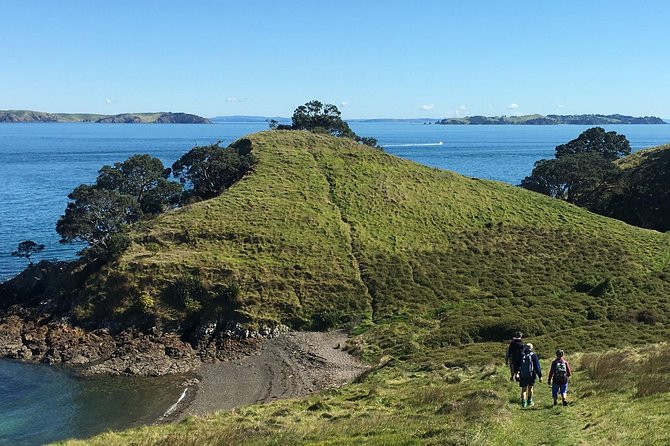Waiheke Island Double Headland Coastal Walk - Should You Book This Waiheke Double Headland Walk?