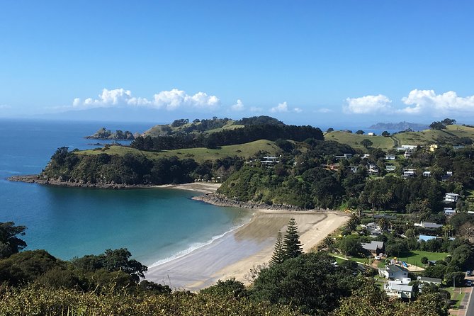 Waiheke Island Experience Tour - Man O’ War Vineyards: shaded tasting room, with a beachy feel