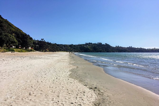 Waiheke Island Experience Tour - Waiheke Distilling Co option: when spirits fit your vibe